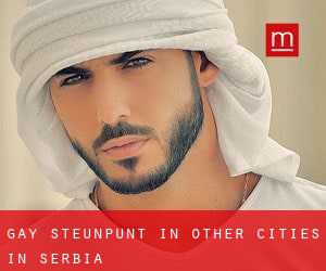 Gay Steunpunt in Other Cities in Serbia