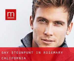 Gay Steunpunt in Rosemary (California)