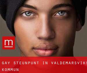 Gay Steunpunt in Valdemarsviks Kommun