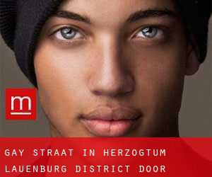 Gay Straat in Herzogtum Lauenburg District door wereldstad - pagina 1