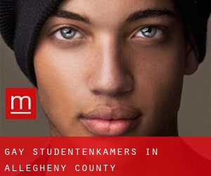 Gay Studentenkamers in Allegheny County