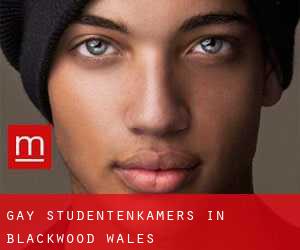 Gay Studentenkamers in Blackwood (Wales)