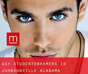 Gay Studentenkamers in Johnsonville (Alabama)