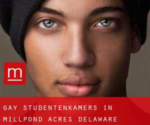Gay Studentenkamers in Millpond Acres (Delaware)