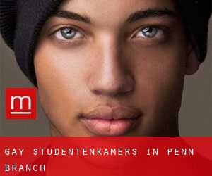 Gay Studentenkamers in Penn Branch