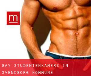 Gay Studentenkamers in Svendborg Kommune