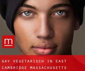 Gay Vegetarisch in East Cambridge (Massachusetts)