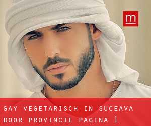 Gay Vegetarisch in Suceava door Provincie - pagina 1