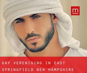 Gay Vereniging in East Springfield (New Hampshire)