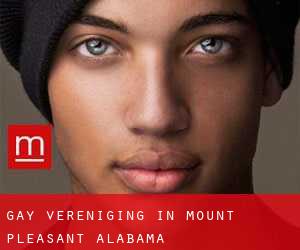 Gay Vereniging in Mount Pleasant (Alabama)