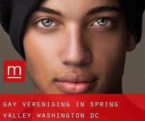 Gay Vereniging in Spring Valley (Washington, D.C.)