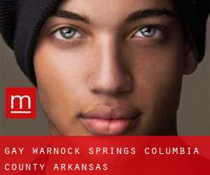 gay Warnock Springs (Columbia County, Arkansas)