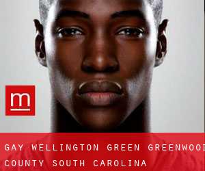 gay Wellington Green (Greenwood County, South Carolina)