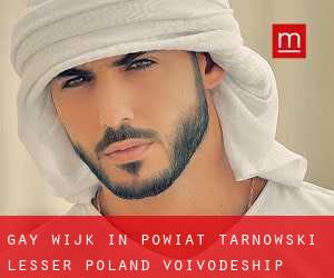 Gay Wijk in Powiat tarnowski (Lesser Poland Voivodeship) (Lesser Poland Voivodeship)
