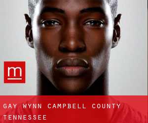 gay Wynn (Campbell County, Tennessee)
