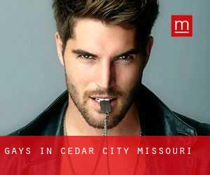 Gays in Cedar City (Missouri)