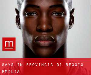 Gays in Provincia di Reggio Emilia