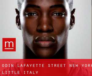 Odin Lafayette Street New York (Little Italy)