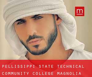 Pellissippi State Technical Community College - Magnolia Campus (Park City)