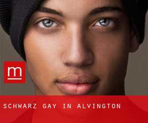 Schwarz Gay in Alvington