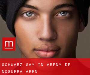 Schwarz Gay in Areny de Noguera / Arén