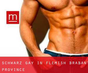 Schwarz Gay in Flemish Brabant Province