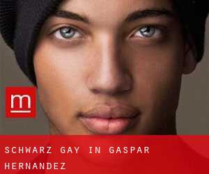Schwarz Gay in Gaspar Hernández