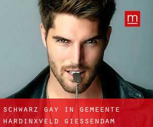 Schwarz Gay in Gemeente Hardinxveld-Giessendam