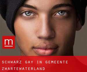 Schwarz Gay in Gemeente Zwartewaterland