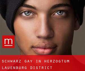 Schwarz Gay in Herzogtum Lauenburg District