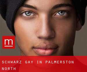 Schwarz Gay in Palmerston North