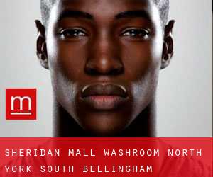 Sheridan Mall Washroom North York (South Bellingham)