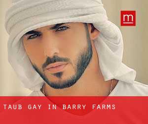Taub Gay in Barry Farms