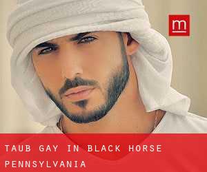 Taub Gay in Black Horse (Pennsylvania)