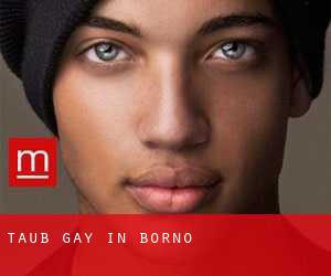 Taub Gay in Borno
