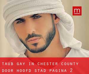 Taub Gay in Chester County door hoofd stad - pagina 2