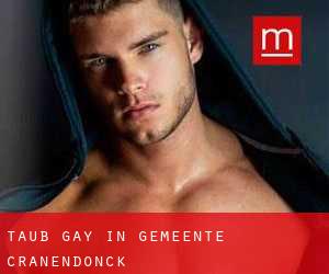 Taub Gay in Gemeente Cranendonck