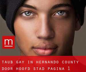 Taub Gay in Hernando County door hoofd stad - pagina 1